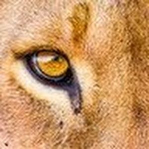 Meet your Posher, Dania